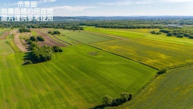 觀音台15一般農(交通用地變更中)出售,大觀路附近農地出售