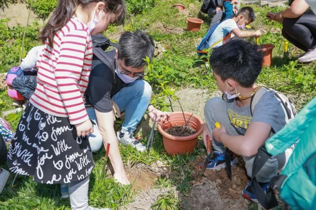 信義、冠德、根基都在做:房地產業的自然碳匯實踐
